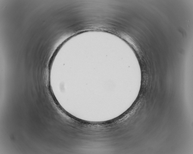 X0000112041079200909141112