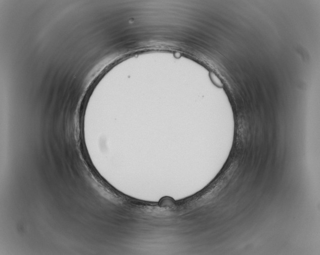 X0000112041082200909141112