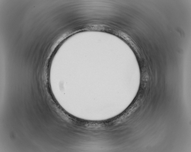 X0000112041083200909141112