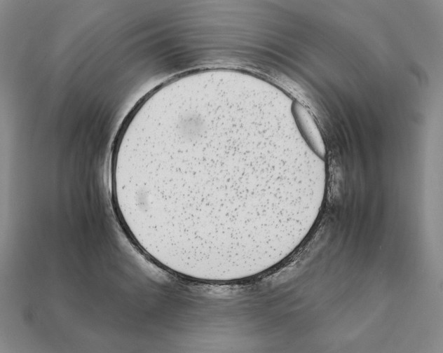 X0000112041084200909141112