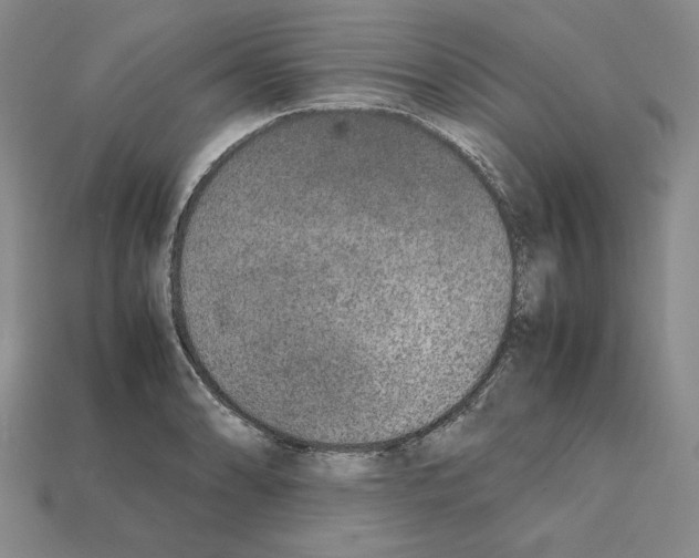 X0000112041086200909141112