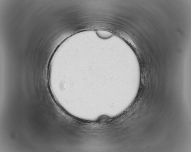 X0000112041087200909141112