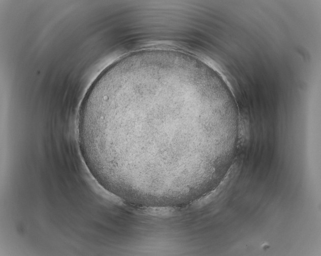 X0000112041090200909141112