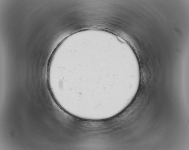 X0000112041095200909141112