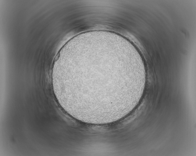 X0000112041097200909141112