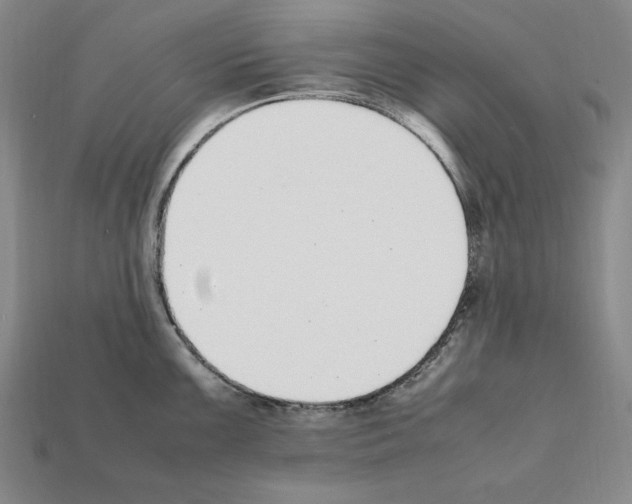 X0000112041099200909141112