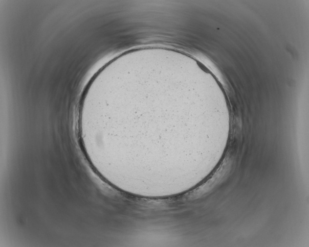 X0000112041101200909141112
