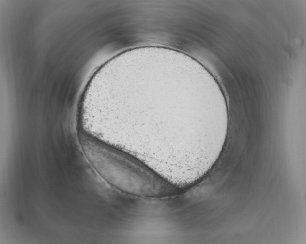 X0000112041104200909141112