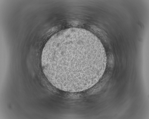 X0000112041105200909141111