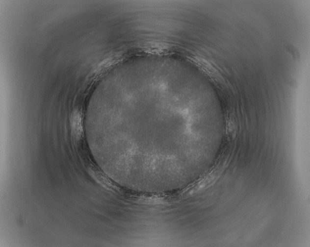 X0000112041106200909141111