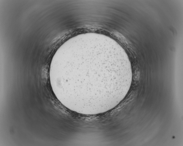 X0000112041110200909141111