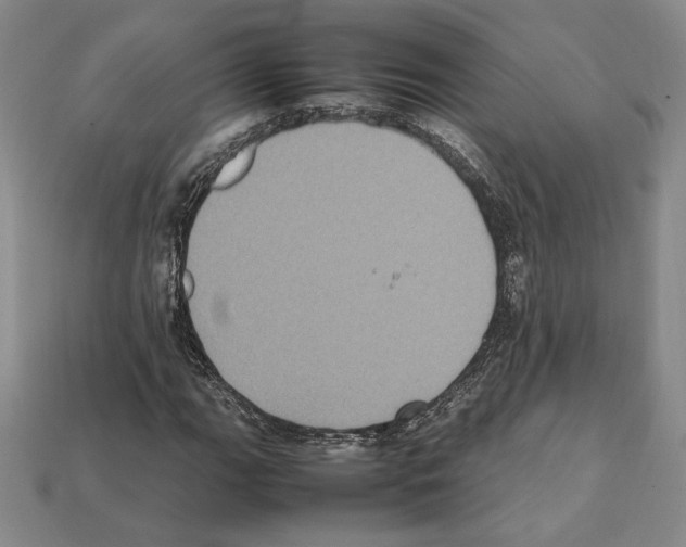 X0000112041111200909141111
