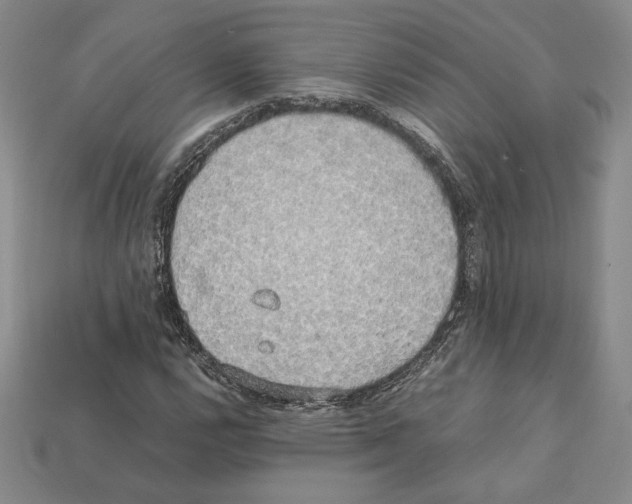 X0000112041112200909141111