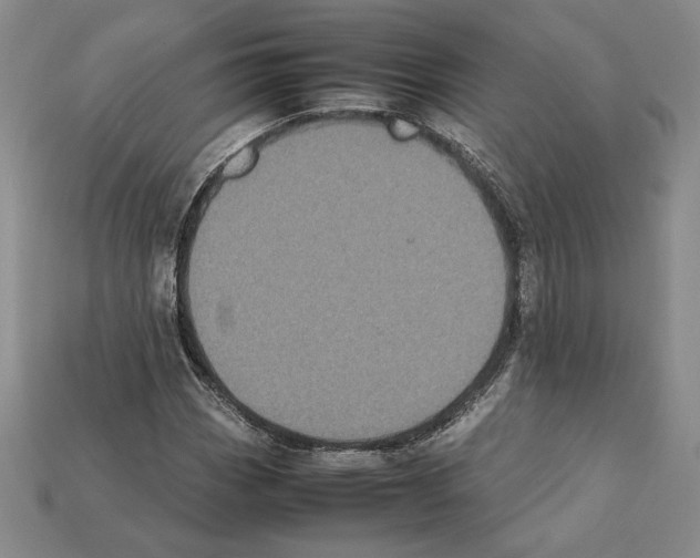 X0000112041113200909141111