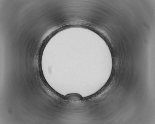 X0000112041114200909141111