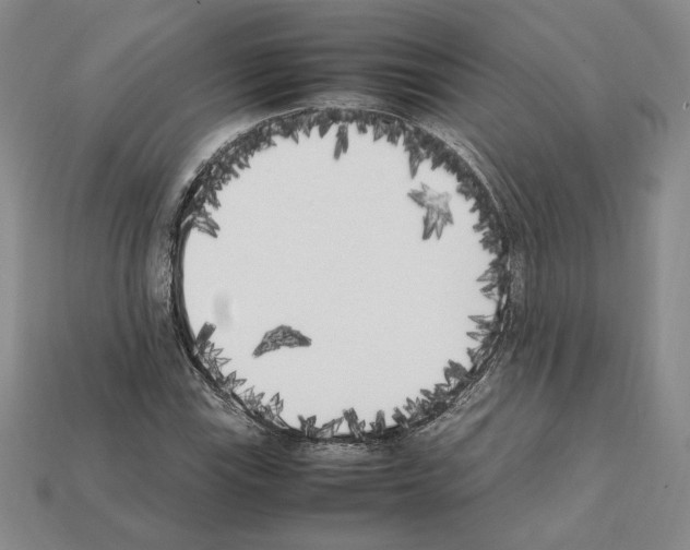 X0000112041115200909141111