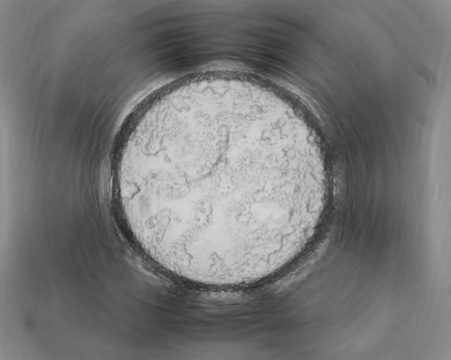 X0000112041117200909141111
