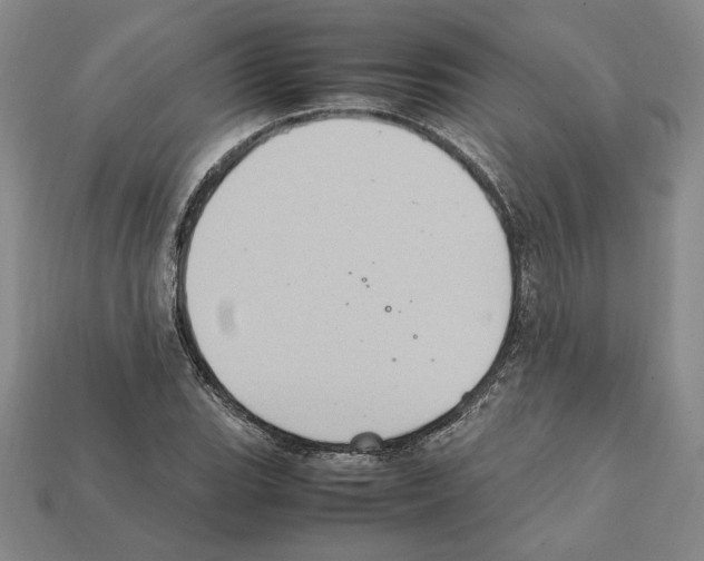X0000112041119200909141111