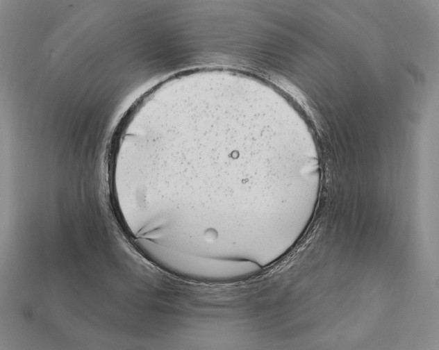 X0000112041120200909141111