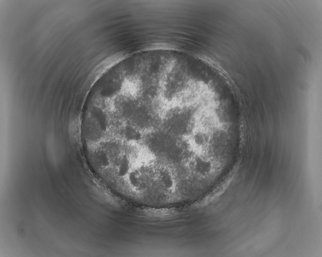 X0000112041121200909141111