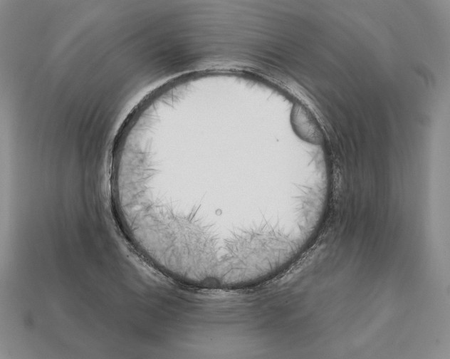 X0000112041124200909141112