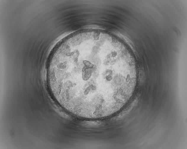 X0000112041125200909141112