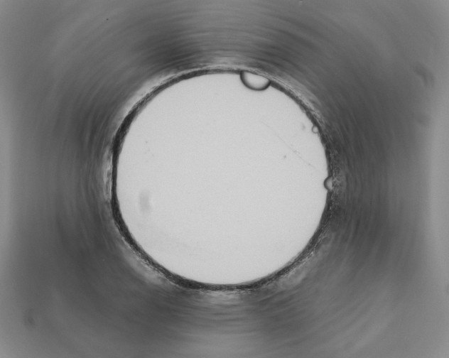 X0000112041126200909141112