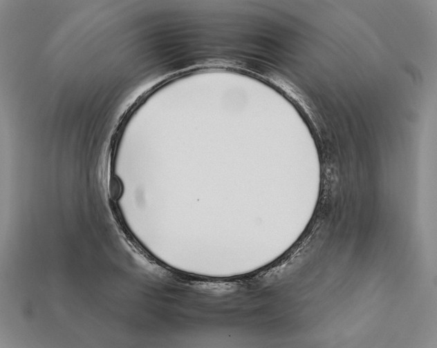 X0000112041127200909141112
