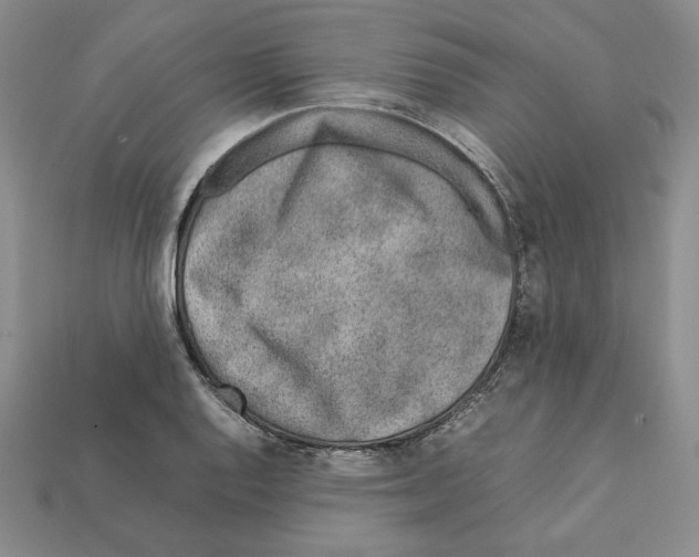 X0000112041128200909141112