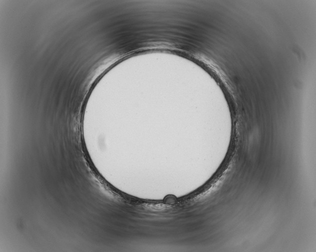 X0000112041129200909141112