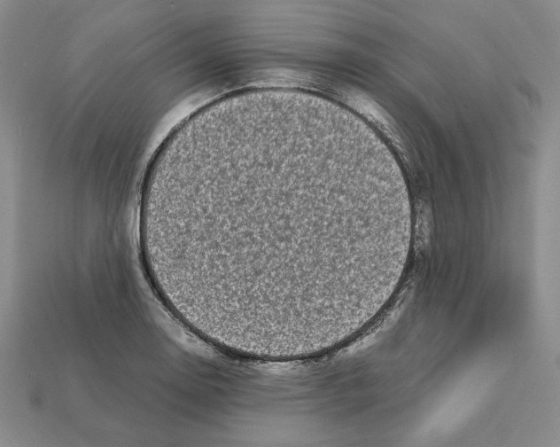 X0000112041130200909141112