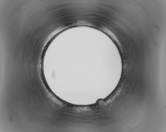 X0000112041133200909141112