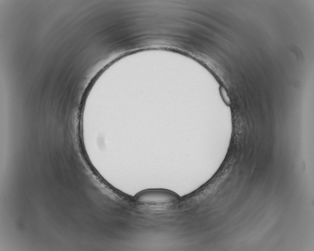 X0000112041134200909141112