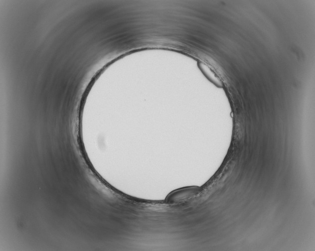 X0000112041136200909141112