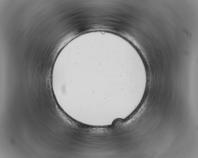 X0000112041137200909141112