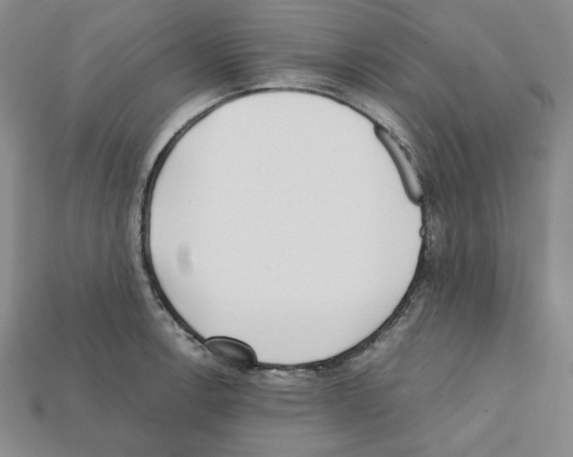X0000112041138200909141112