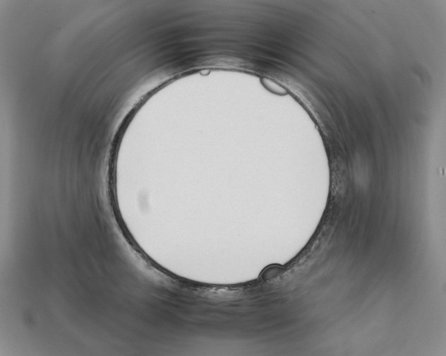 X0000112041139200909141112