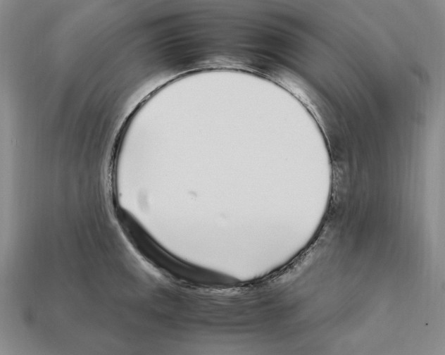 X0000112041141200909141112