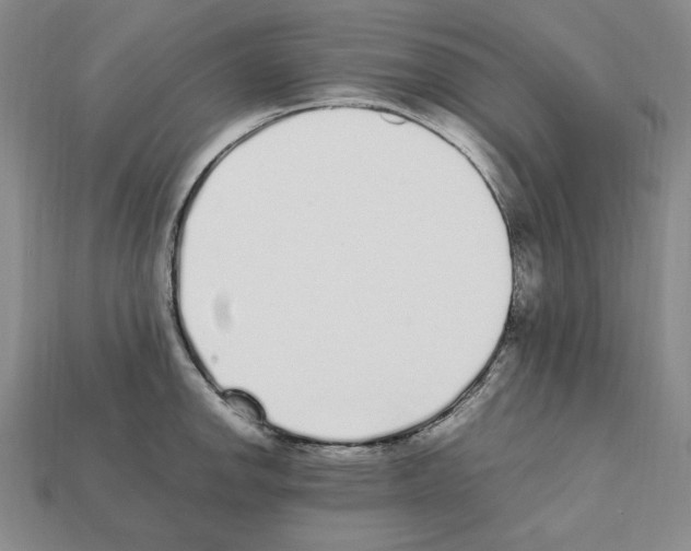 X0000112041142200909141112