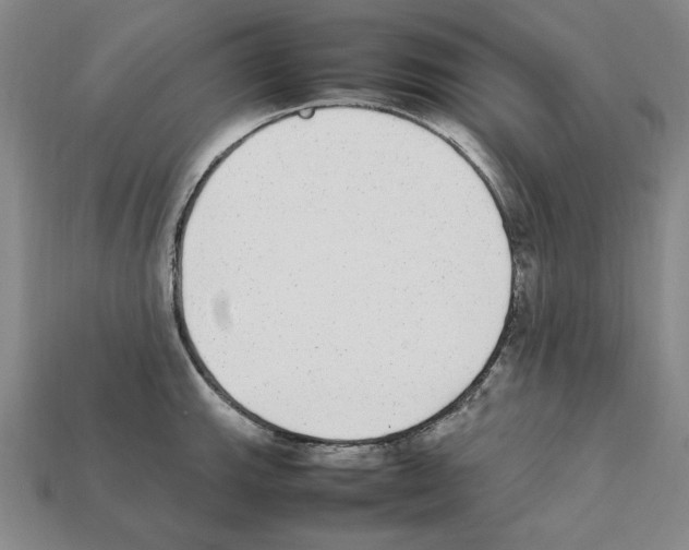 X0000112041143200909141112