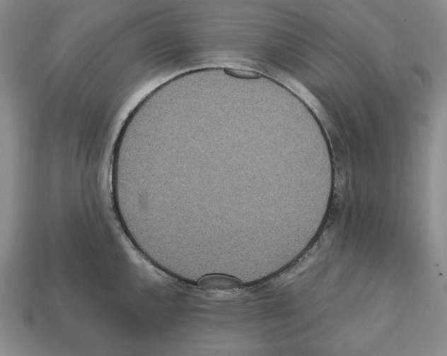 X0000112041144200909141112