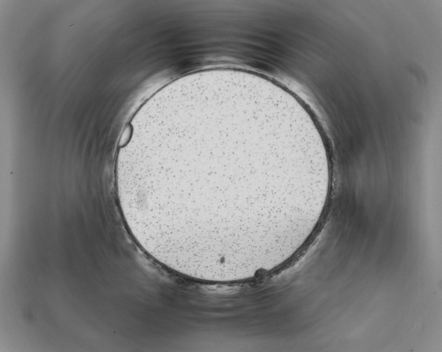 X0000112041145200909141112