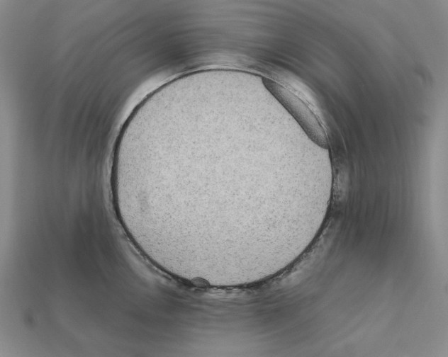 X0000112041146200909141112