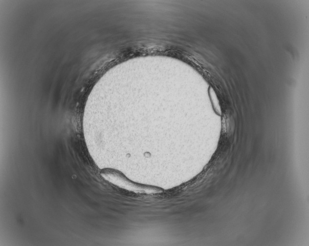 X0000112041155200909141111