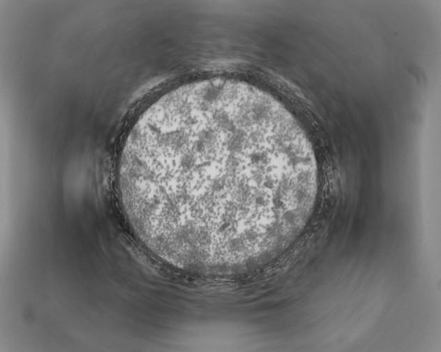X0000112041158200909141111