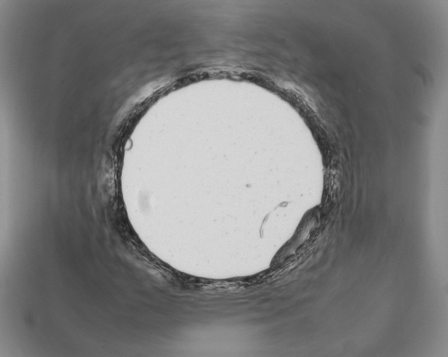 X0000112041159200909141111