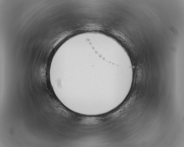 X0000112041162200909141111