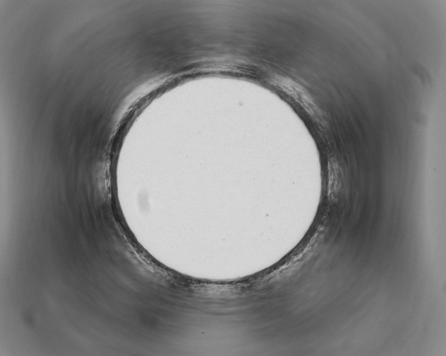 X0000112041164200909141111