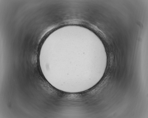 X0000112041166200909141111