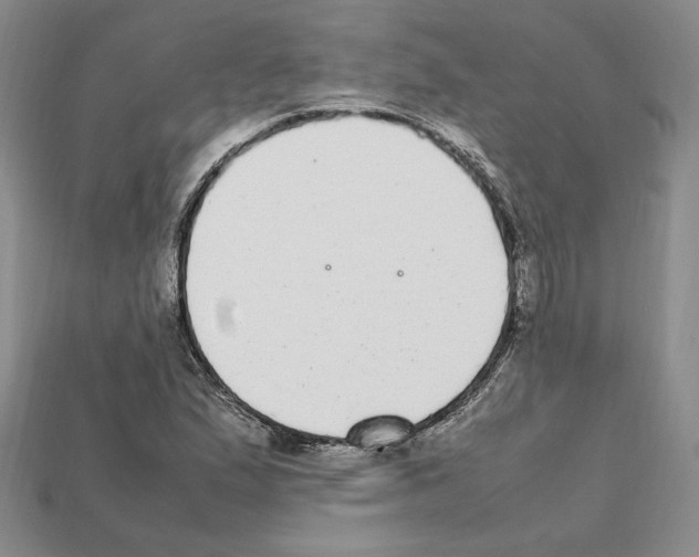 X0000112041167200909141111